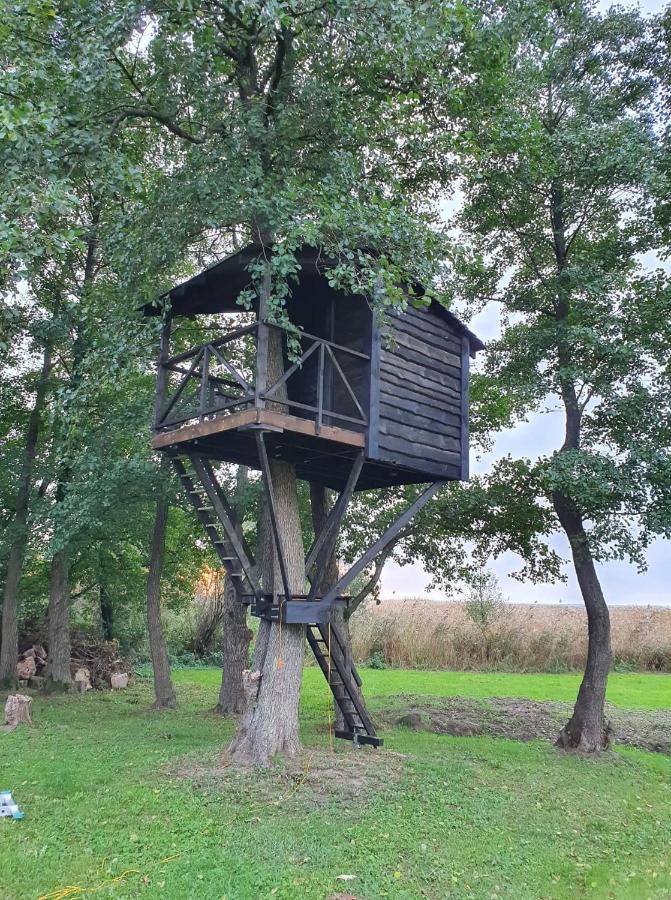 Kaimo Turizmo Sodyba Satavi Kinty Bagian luar foto