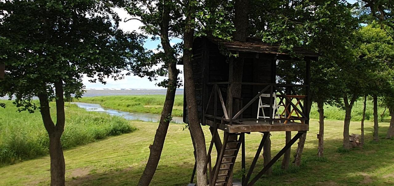 Kaimo Turizmo Sodyba Satavi Kinty Bagian luar foto