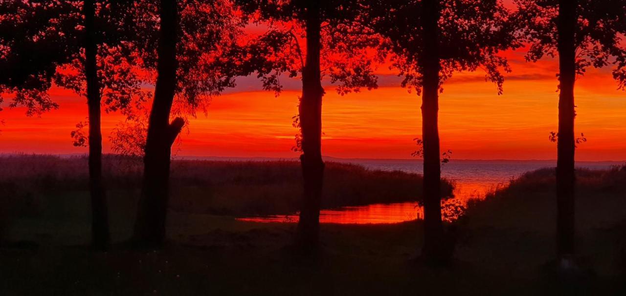 Kaimo Turizmo Sodyba Satavi Kinty Bagian luar foto