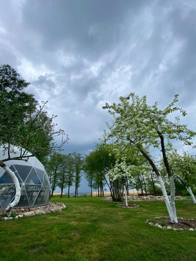 Kaimo Turizmo Sodyba Satavi Kinty Bagian luar foto